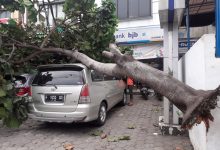 Photo of Hadapi Cuaca Ekstrem, Wakil Wali Kota Bogor Ingatkan  Warga Waspada